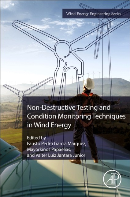 NonDestructive Testing and Condition Monitoring Techniques in Wind  PAPERBACK