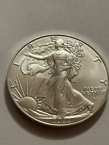 2022 10 x 1oz 2022 Silver American Eagle Coin BU .999 Pure, Half Tube