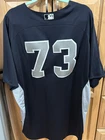 Gary Sanchez Game Worn New York Yankees 2015 Spring Training Jersey MLB