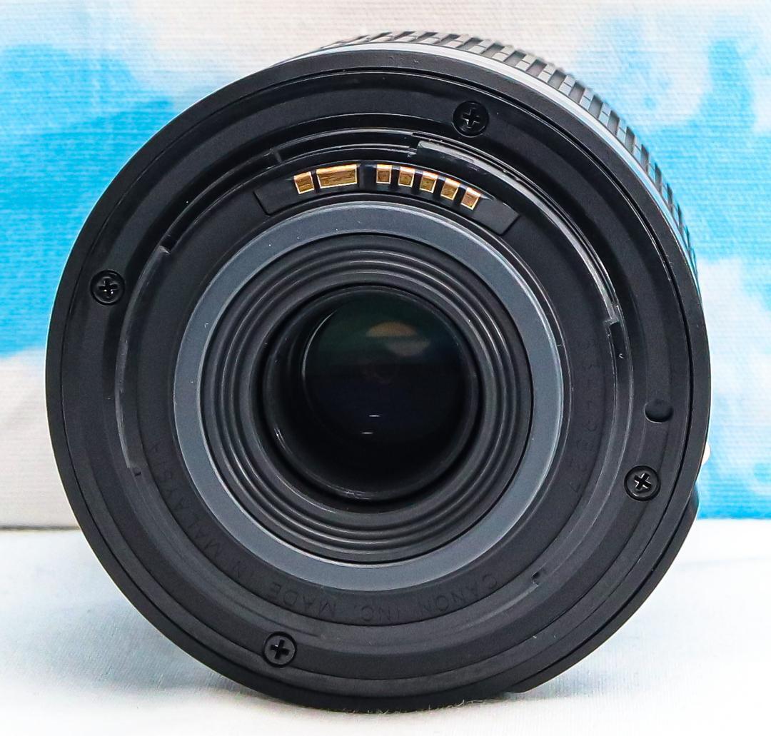 Canon EF-S 55-250mm f/4-5.6 IS II Telephoto Zoom Lens Canon EF-S 55-250mm f/4-5.6 IS II Telephoto Zoom Lens