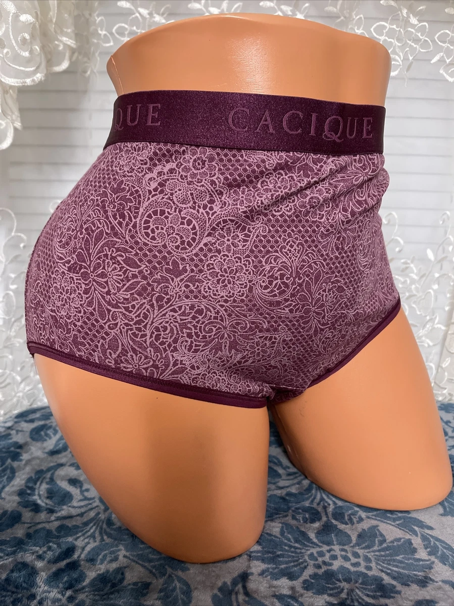 LANE BRYANT CACIQUE FULL BRIEF WIDE BAND PANTIES 18 20 PANTY Wine