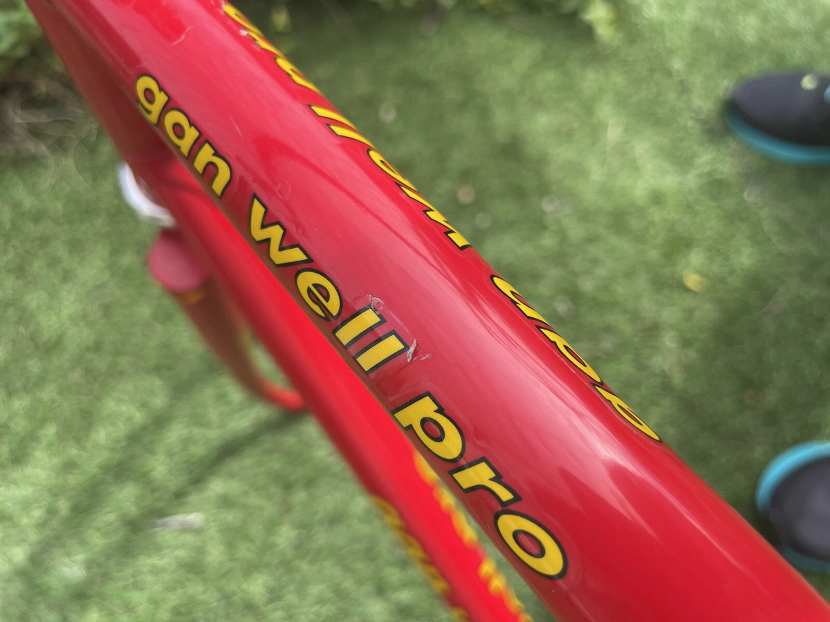 Gan Well GANWELL Pro Evasion 55cm Frame Only RED Japan road bike