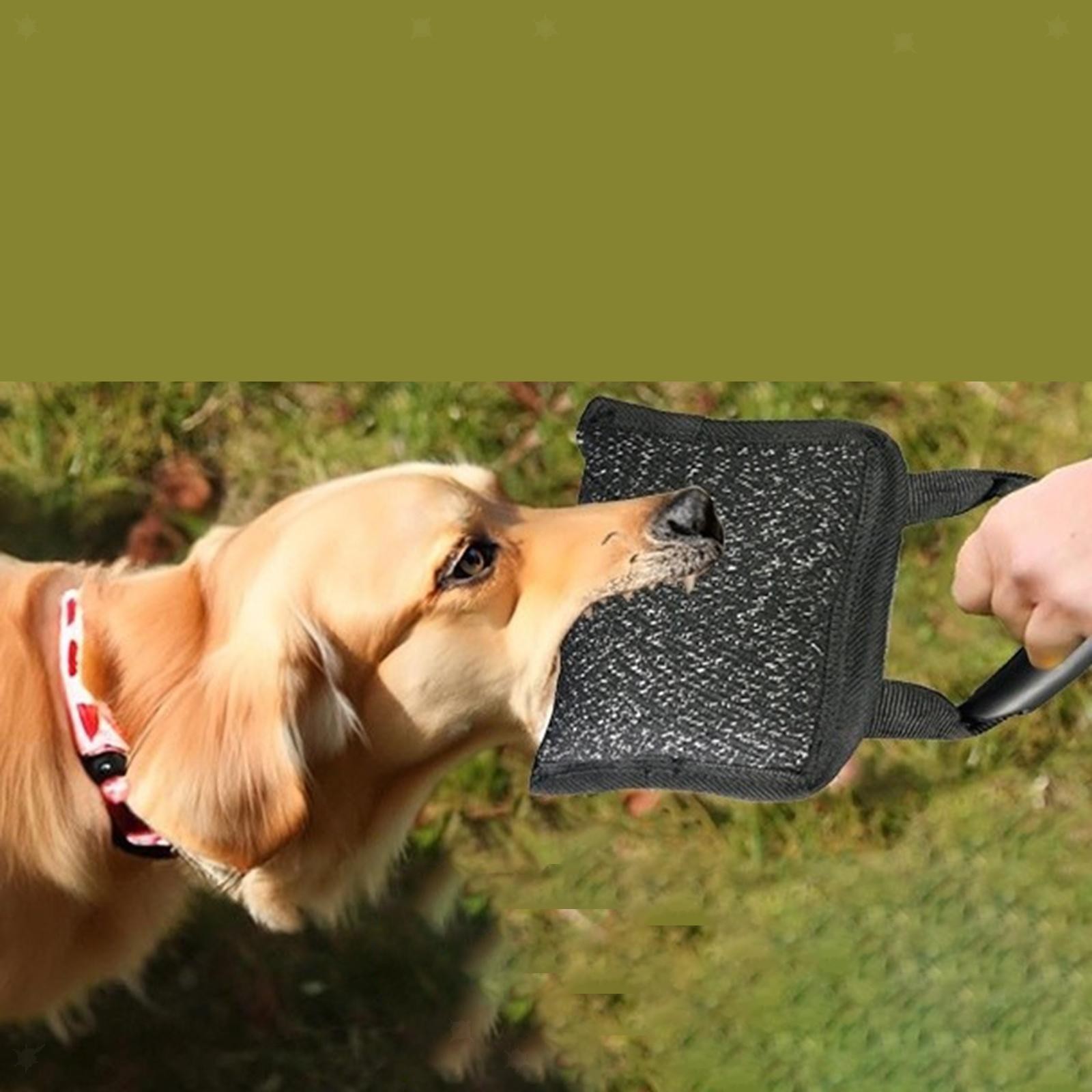 Cuscino per Cani Portatile e Facile da Usare
