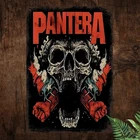 Pantera Band Vintage Skull Flames Retro Tin Metal Signs Home Décor 8x12