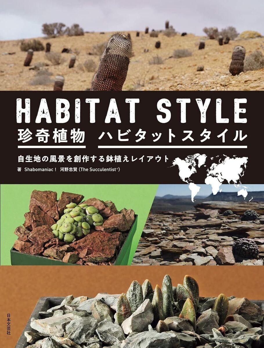 New Bizarre Plant Habitat Style Succulent Cacti Potted New Bizarre Plant Habitat Style Succulent Cacti Potted