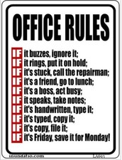 Funny Office Rules Laminated Novelty Sign
