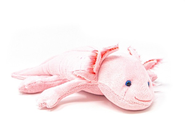 Cornelissen - Kuscheltier - Axolotl - 29 Cm-image
