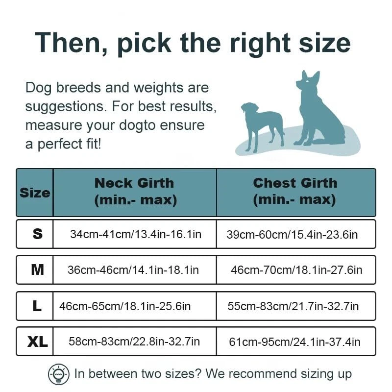 Dog Harness with Leash & Poop Bag Container + 350 ML Bowl, No-Pull Pet Harnes... Dog Harness with Leash & Poop Bag Container + 350 ML Bowl, No-Pull Pet Harnes...
