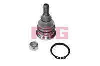Schaeffler FAG 825 0257 10 Traggelenk FÜHrungsgelenk Vorne Oben FüR Hyundai KIA
