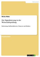 Die Digitalisierung In Der WirtschaftsprüFung (Buch)
