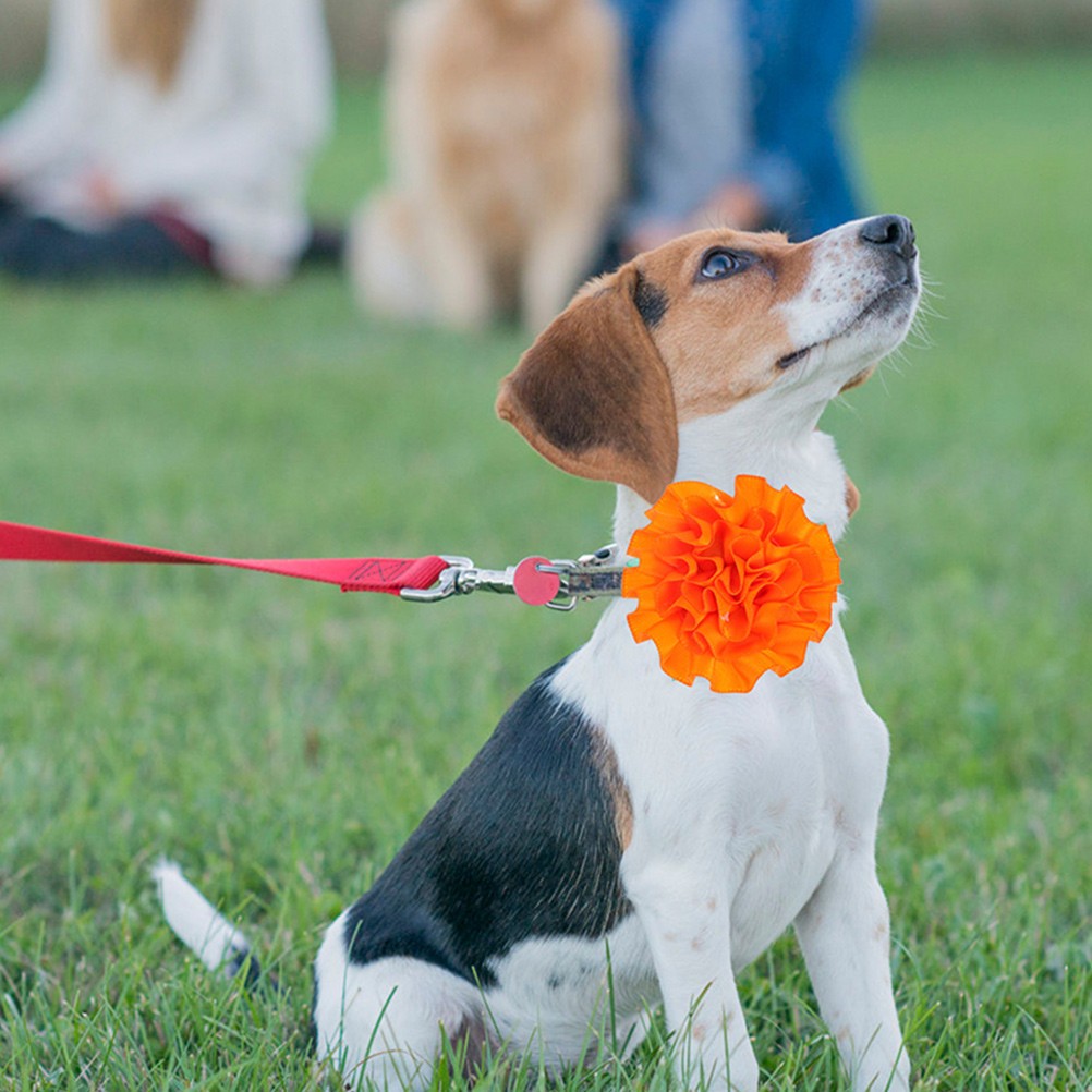 20 Pezzi Copricapo per Animali Domestici Collare per Cani Accessori Fiori Accessori Fiori foto 3
