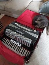 Fisarmonica L'Artigiana Castelfidardo 120 Bassi Made In Italy 
