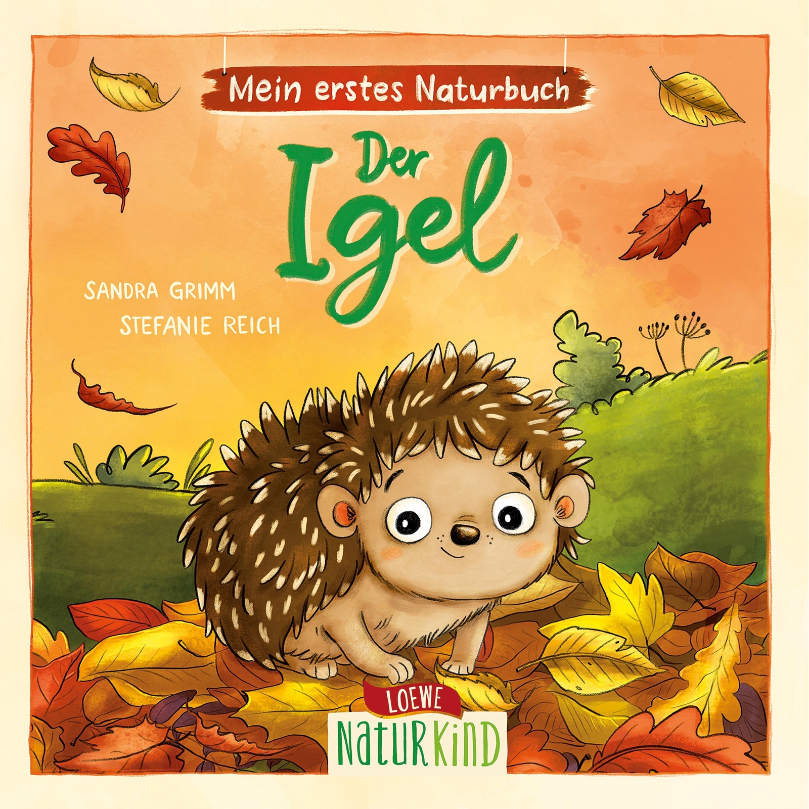 Thumbnail - Sandra Grimm Mein Erstes Naturbuch - Der Igel 9783743213159
