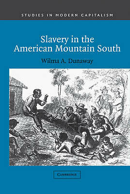 Slavery in the American Mountain South Dunaway Hardback 9780521812757