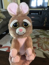 feisty pets bunny
