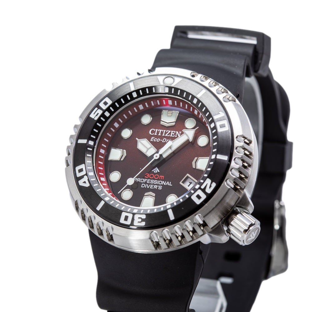 給*ん様 CITIZEN SPORTE PROFESSIONAL DIVER'S s-l1200.png