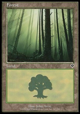 Forest (347) - Foil Light Play, English Magic the Gathering MTG Invasion