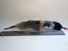 Cowboy Hat Feather Western, Stetson, Resistol, Style, Buffalo In Winter