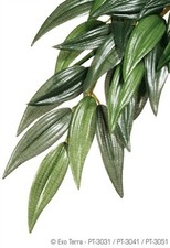 EXO TERRA SILK PLANT - RUSCUS - SMALL