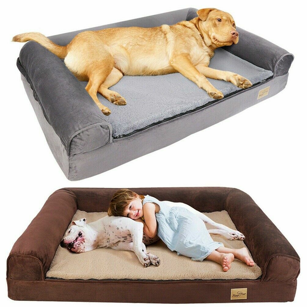 Sofa Dog Bed Australia Baci Living Room