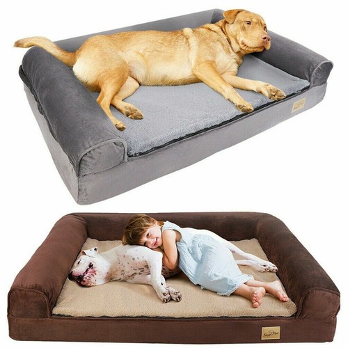 the dog bed memory foam