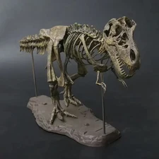 DIY Large T Rex Tyrannosaurus Rex Skeleton Dinosaur Animal Model Collector Decor