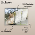 Bild 4 von 8