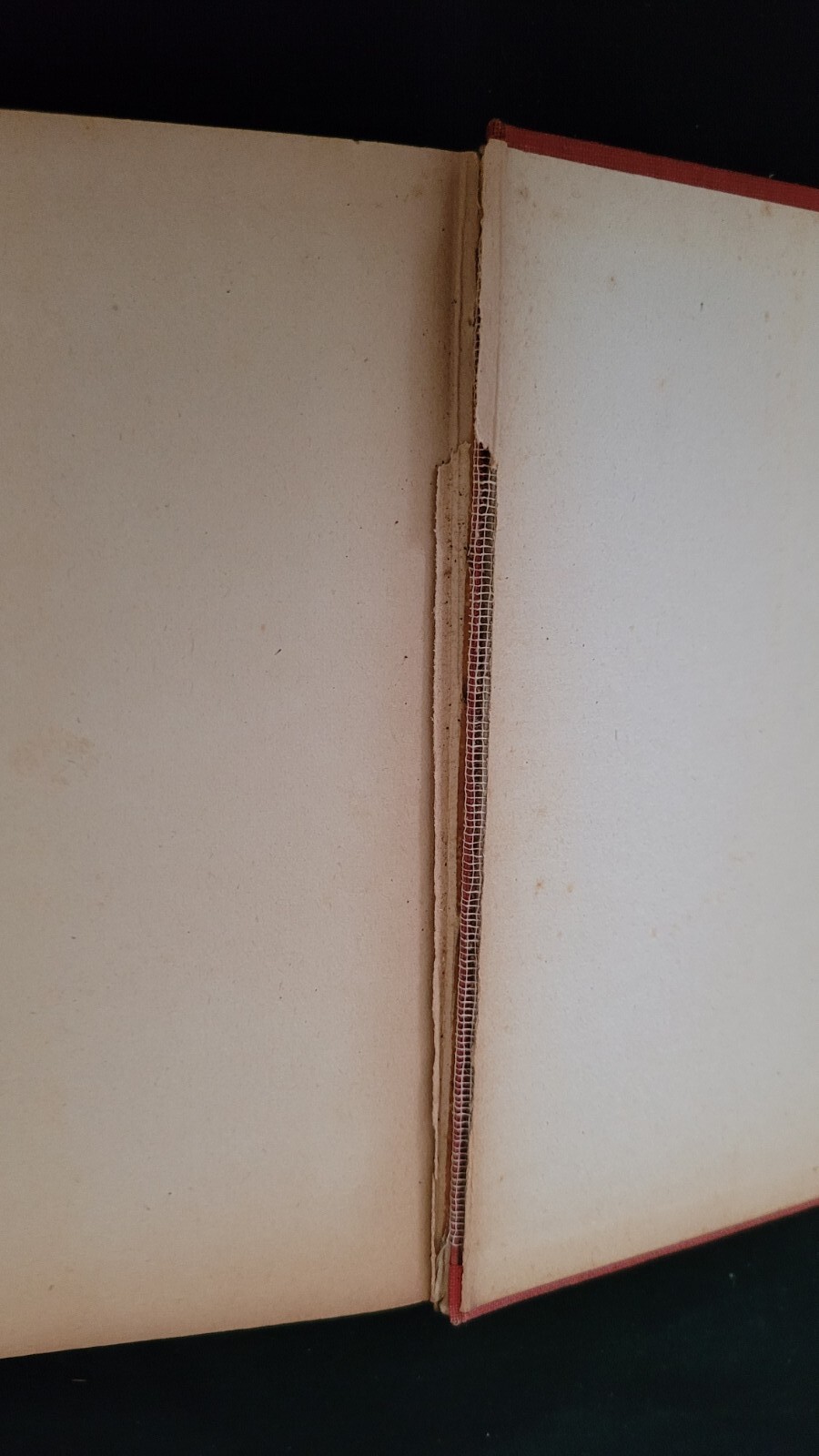 Picture 10 of 10