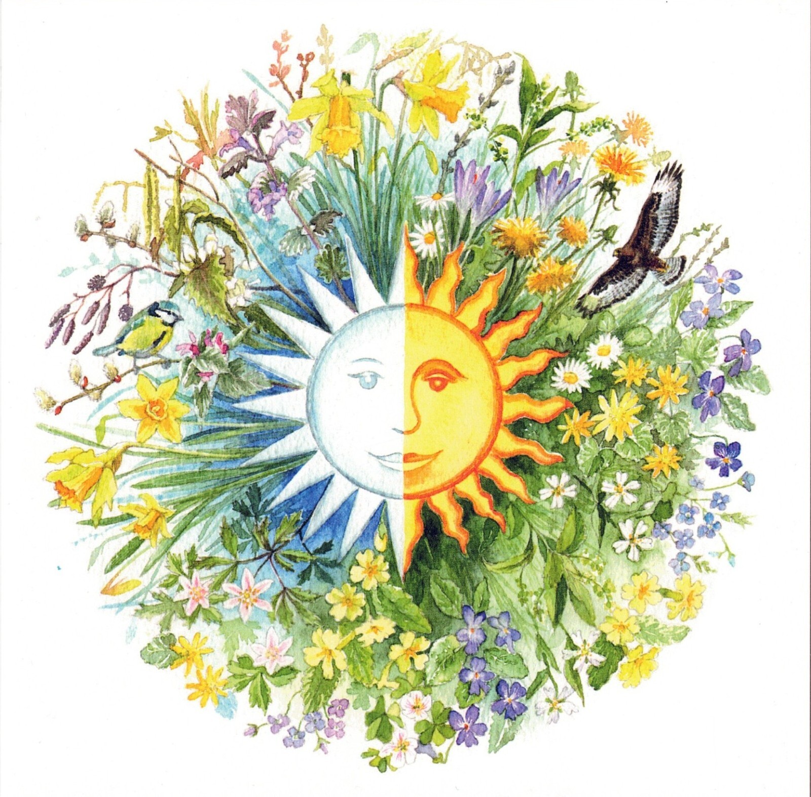 Spring Equinox Greeting Card - By S Symonds - Sale For Our Animal Charity