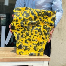 29.7LB Huge Bumblebee Jasper Volcanic Rock Crystal Display Specimen Indonesia