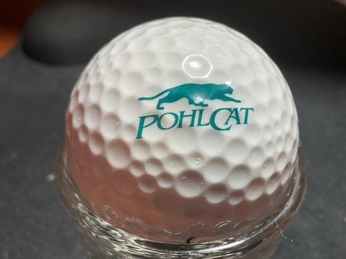 MICHIGAN P Q GOLFPLATZ: LOGOBÄLLE - Bild 53 von 64