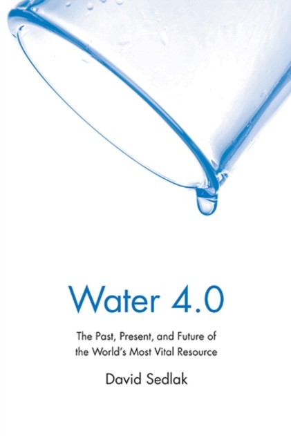 Water 4.0: The Past, Present, and Future of the World's Most Vital Resource - Image 4