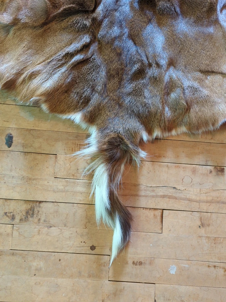 Alfombra suave de piel de ciervo con pelo de piel de ciervo grande decoración de cabina artesanía  Foto 4 de 4