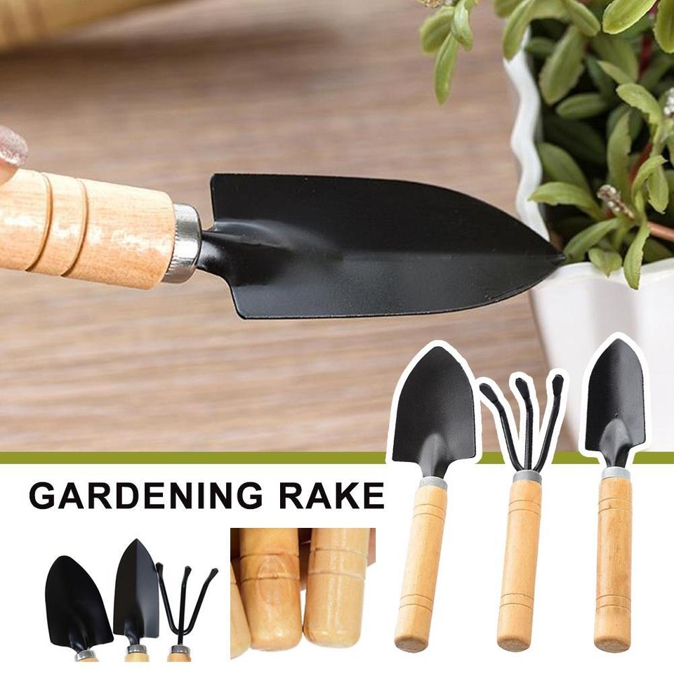 Vegetables Rake Gardening Rake 3 Pcs Gardening Tool Set Vegetable and Flower Succulent ...
