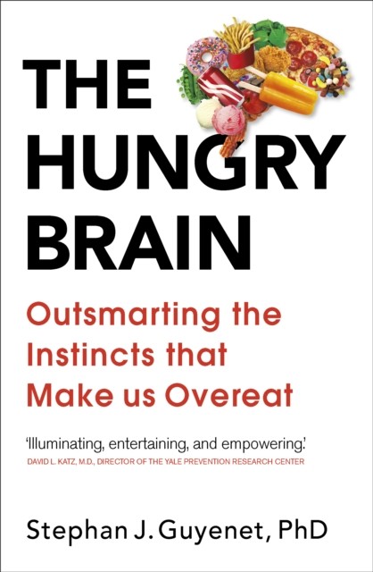 The Hungry Brain by Dr Stephan Guyenet (Paperback Book)