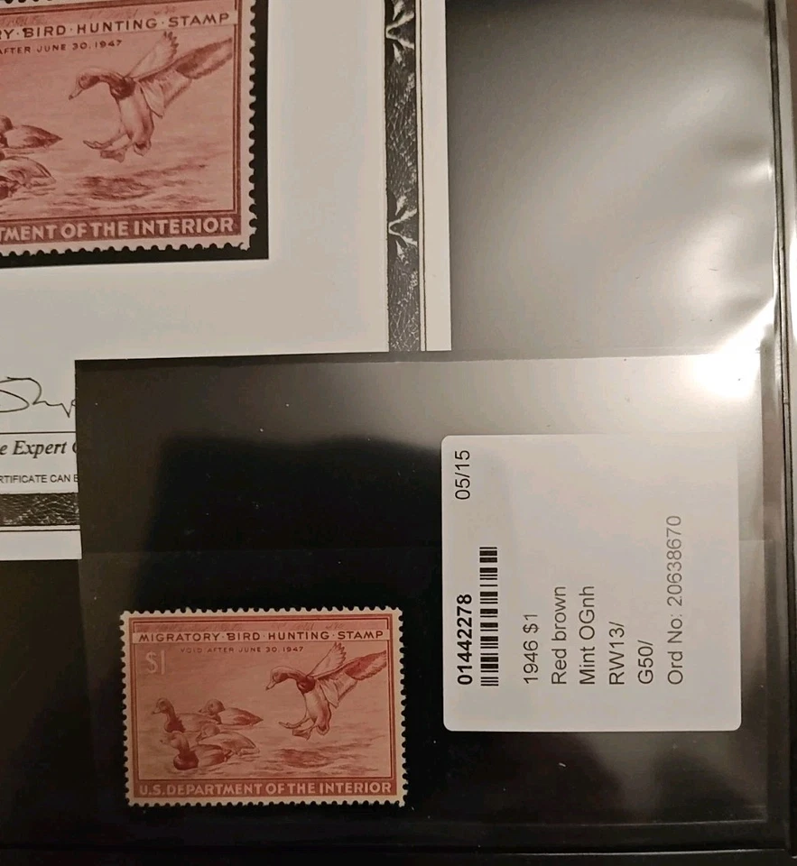 Certified PSE #RW13 - F- VF Mint NH Duck Stamp - Image 3 of 3