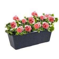 10x Fioriera Balconiera Fioriera Super 40 CM Plastica Vaso per Piante