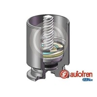 Autofren 38Mm Kolben Bremssattel Hinten Passend FüR Ford Mondeo Jaguar X-TYPE RE