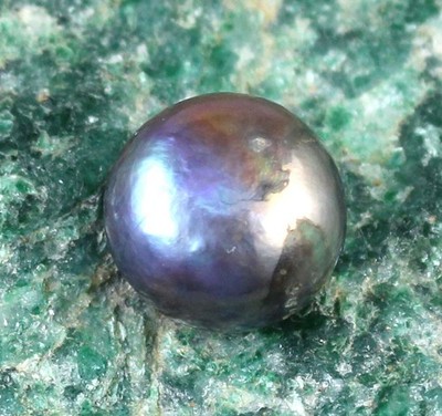 6.65 Ct Natürliche Südseeperle Rund, Grau-schwarz, AGI-zertifiziert T29774