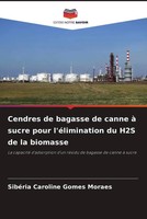 SibéRia Caroline Gomes Moraes | Cendres De Bagasse De Canne à Sucre Pour...