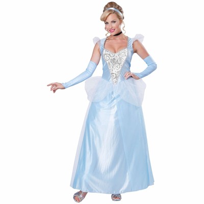 Klassisches Aschenputtel Prinzessin Märchenbuchwoche Erwachsene Damen Kostüm