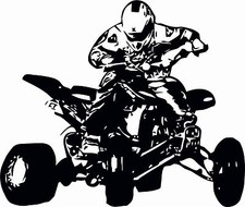 Q19 Quad,Auto,Sticker,  Wandtatto, Aufkleber,Heckscheibe,20 cm