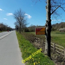 Photo 6x4 Tree for sale in Haverfordwest Haverfordwest/Hwlffordd Alongsi c2014