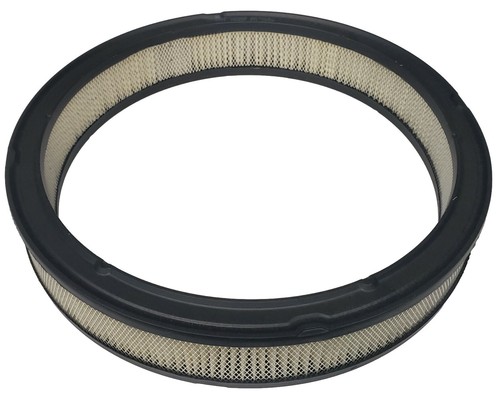 Air Filter for 76-86 Ford Cars V6 Eng, Hastings AF801 (See Description) - Picture 2 of 4