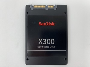 Sandisk X300 | eBay