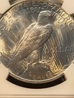 1923 peace dollar - ngc ms 63 - 90% silver — photo 6