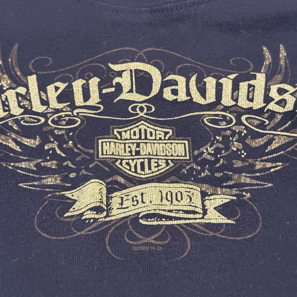 Camiseta De Colección Y2K Harley Davidson Bebé Para Mujer Pequeña Encaje Boho Grunge Motociclista Foto 3 de 4