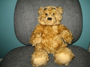 oso ted peluche original