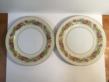 (2) Vintage Dinner Plates by Jyoto Occupied Japan
