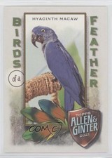 2021 Topps Allen & Ginter's Birds of a Feather Hyacinth Macaw #BOF-6 x0y